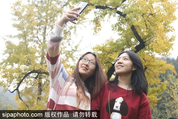 桐廬旅游.jpg