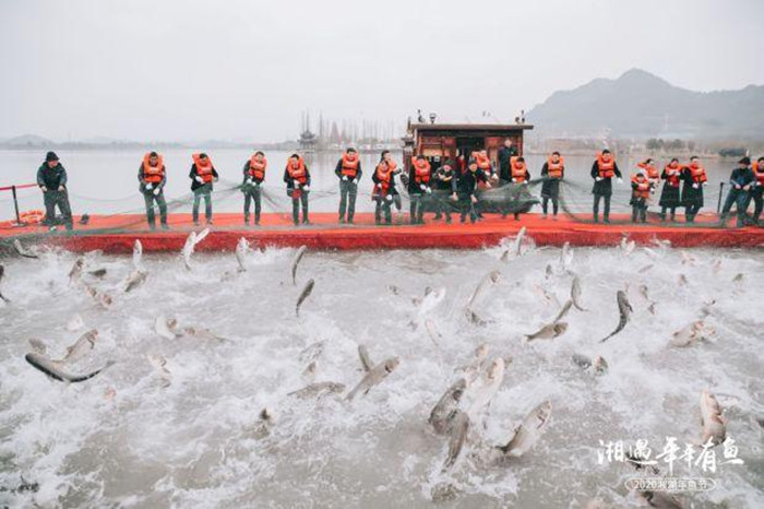 Xianghu lake fishing festival.jpg
