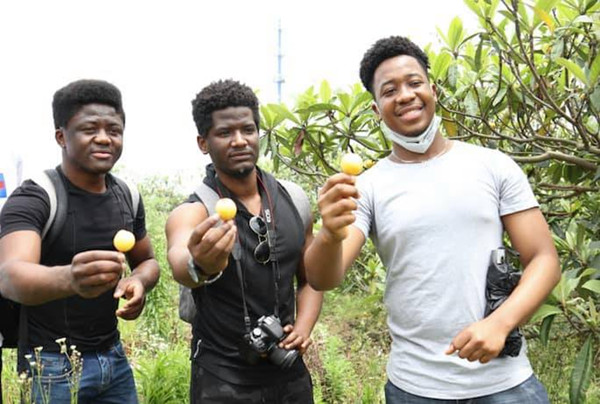 internationals sample fun of picking loquat.jpg