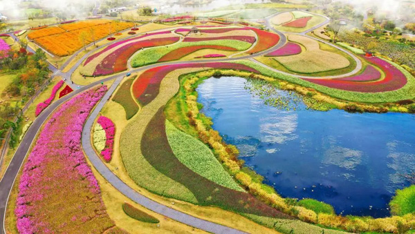 花海3.jpg