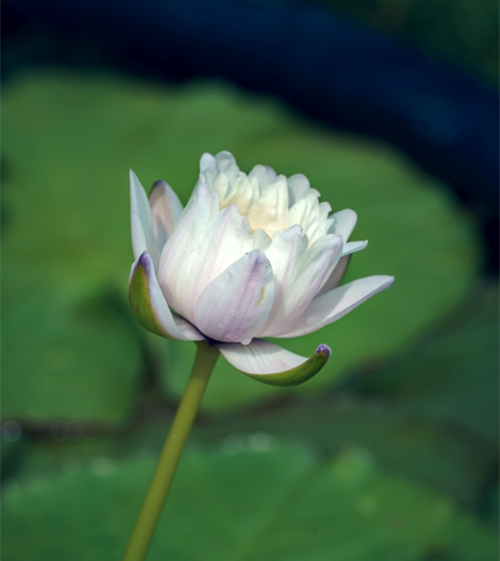 e390c53b-65cf-4518-9079-94d1d33a03da.png