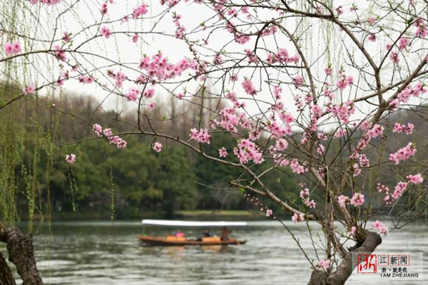 spring2.jpeg
