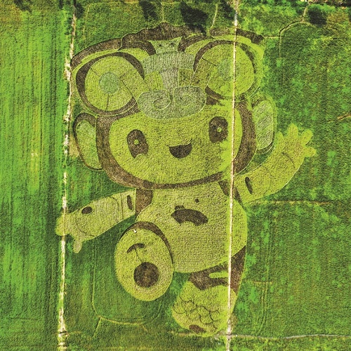 農(nóng)田2.jpg