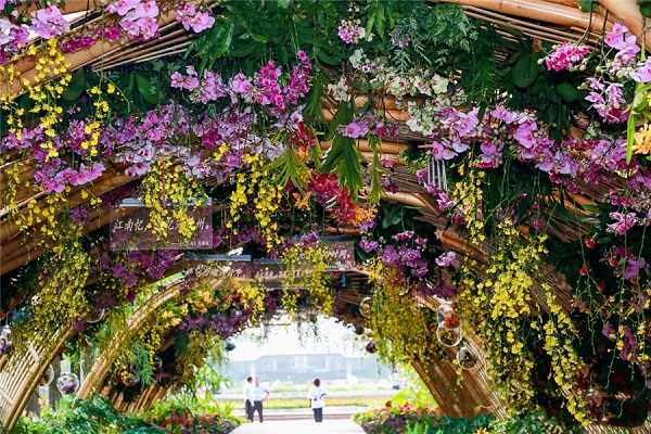 花卉公園2.png