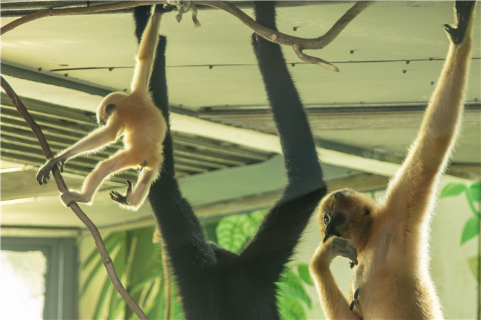 動物園1.jpg