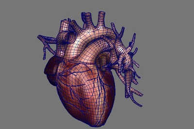 Up-close look at 'real' heart made by Chinese surgeon