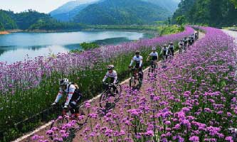 Best places to visit in Hangzhou throughout the year