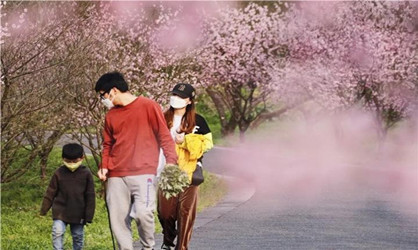 Xixi National Wetland Park opens to visitors for free