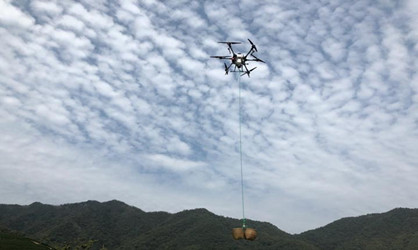 Drones become good helpers for tea-leaf pickers in Hangzhou