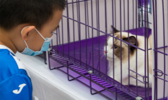 Alipay uses noseprint recognition for pet insurance