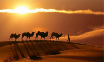 30th anniversary of Silk Roads expeditions commemorated
