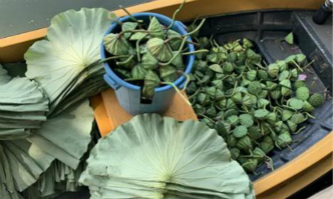 Lotus seedpods and leaves on sale
