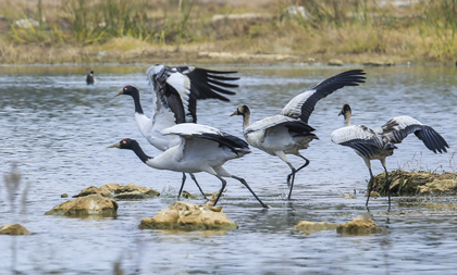 Zhejiang residents welcomed for group travel to Guizhou