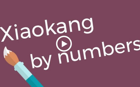 Xiaokang by numbers: A closer look at better lives in China
